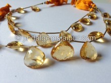 Frosted Madeira Citrine Far Faceted Heart Shape Beads